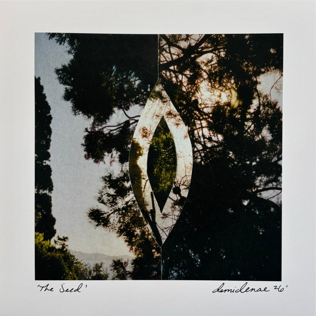 The Seed