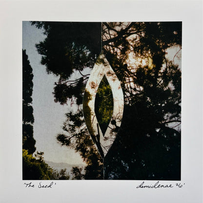 The Seed